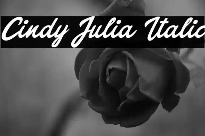 Cindy Julia Italic Font examples