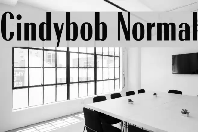 Cindybob Normal Font examples