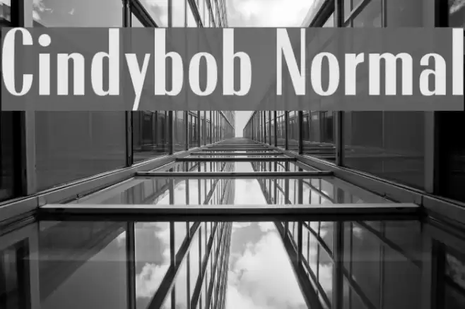 Cindybob Normal Font examples