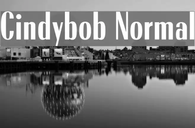 Cindybob Normal Font examples