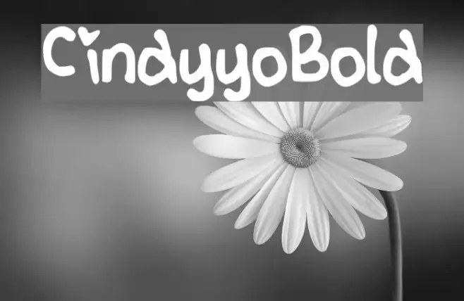 CindyyoBold Font examples