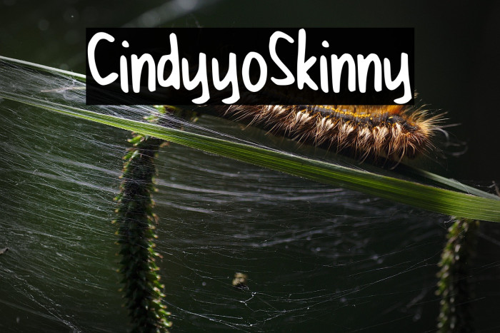 CindyyoSkinny Example 2