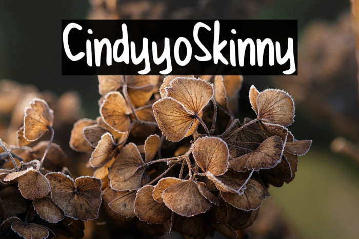 CindyyoSkinny Example 3