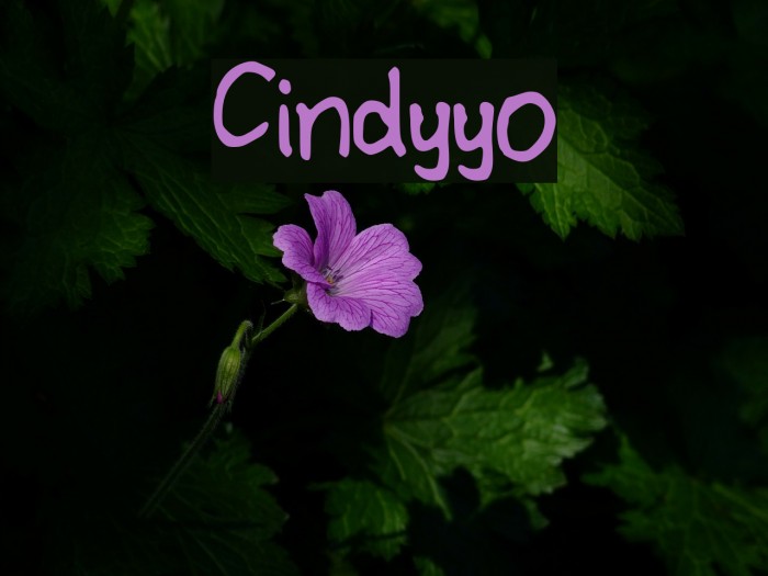 Cindyyo Font examples