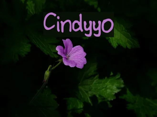 Cindyyo Example 1