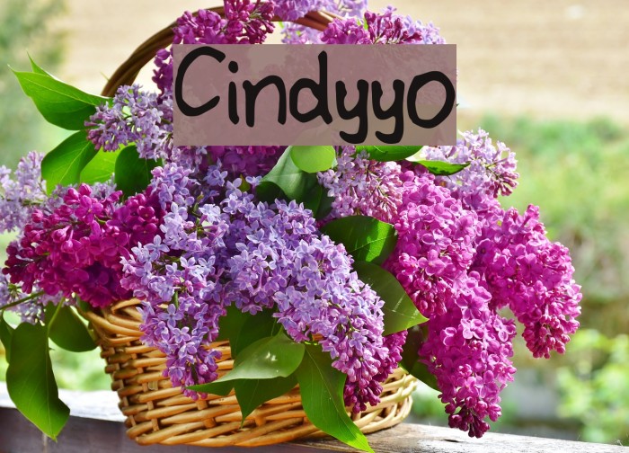 Cindyyo Font examples