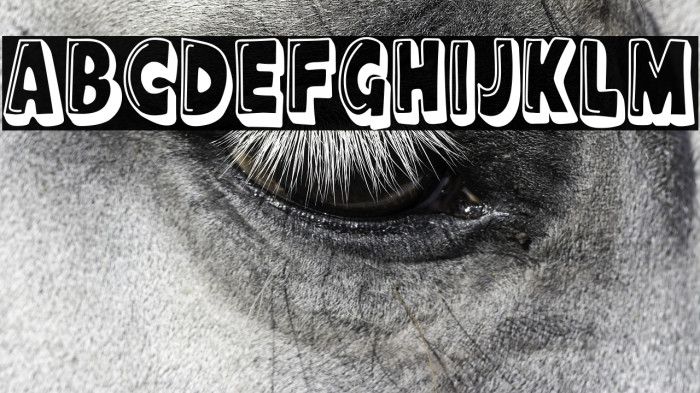 Cine de Barrio Example 3