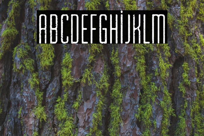 Cinema Capitol Font examples