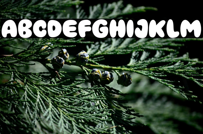 Cinema Cartoon Example 1