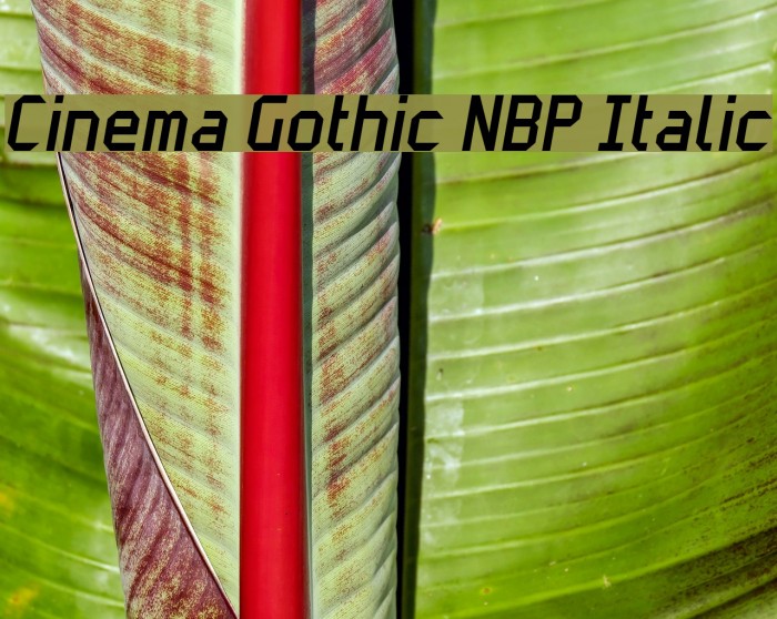 Cinema Gothic NBP Italic Example 3