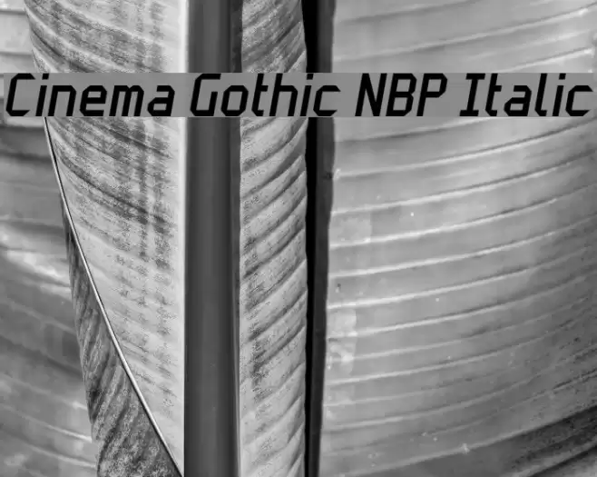 Cinema Gothic NBP Italic Font examples