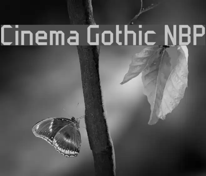 Cinema Gothic NBP Font examples