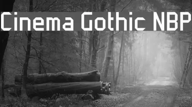 Cinema Gothic NBP Font examples