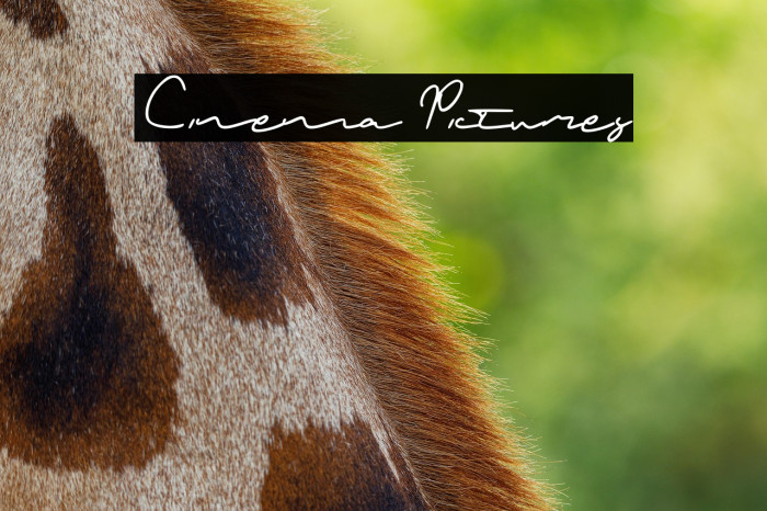 Cinema Pictures Example 1