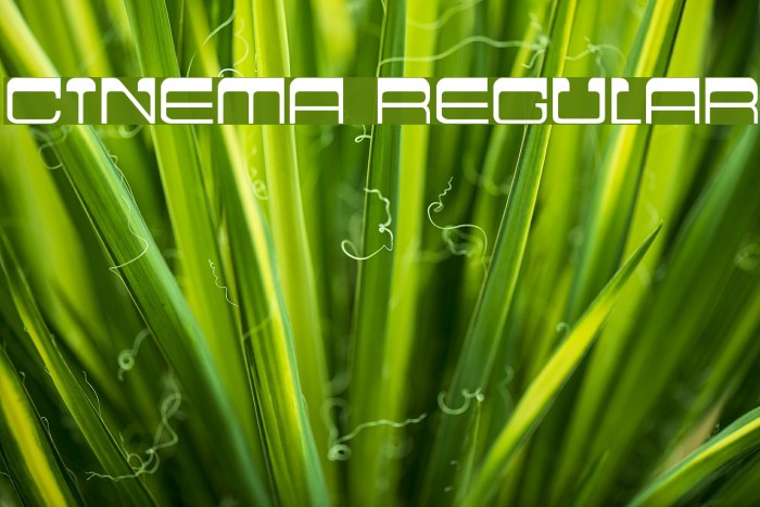 Cinema Regular Font examples