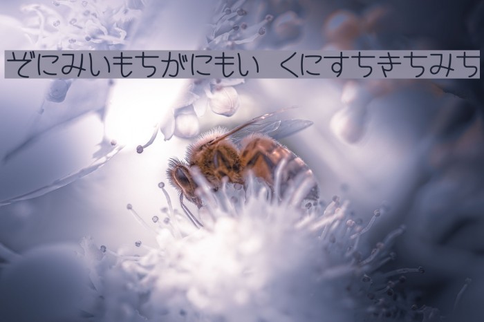 CinemaTime hiragana Font examples
