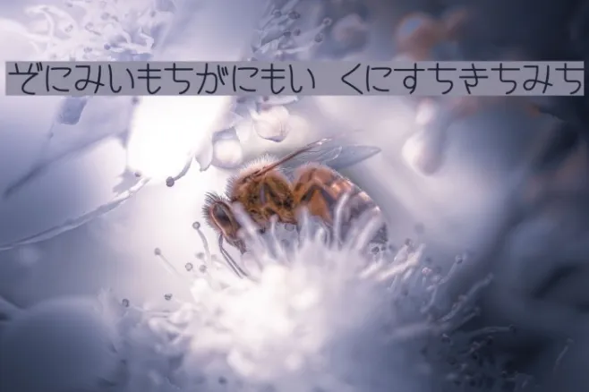 CinemaTime hiragana Example 3