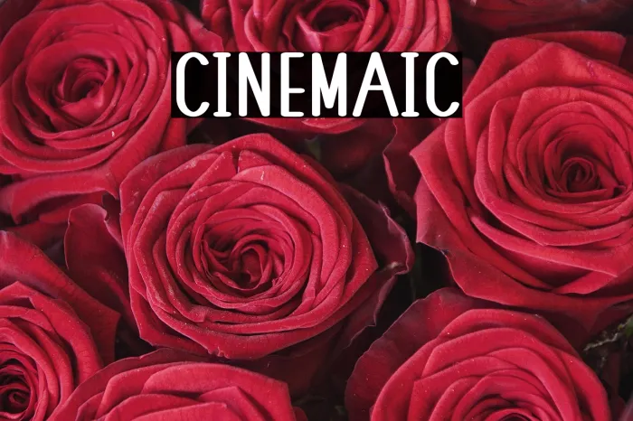 Cinematic Example 2