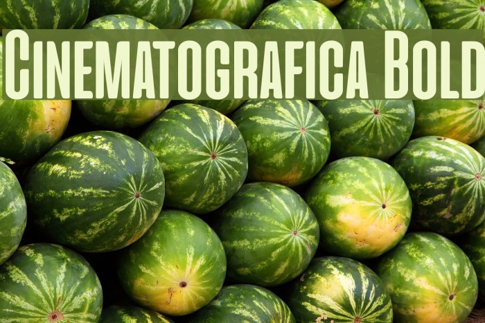 Cinematografica Bold Example 2