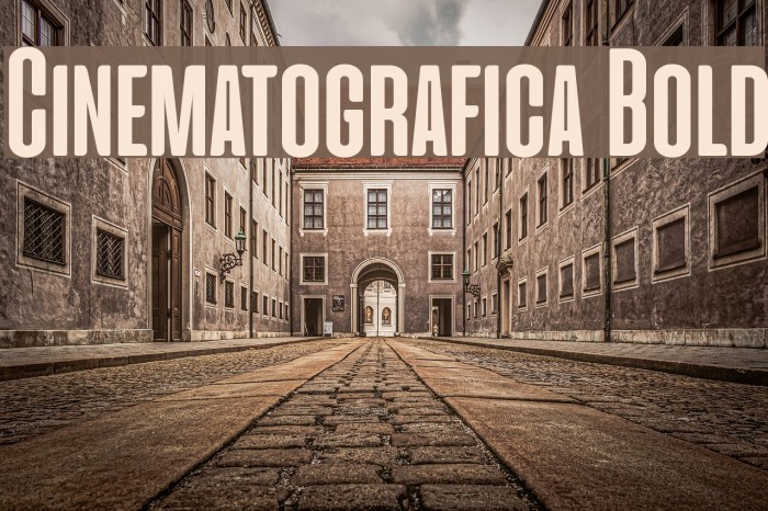 Cinematografica Bold Example 3