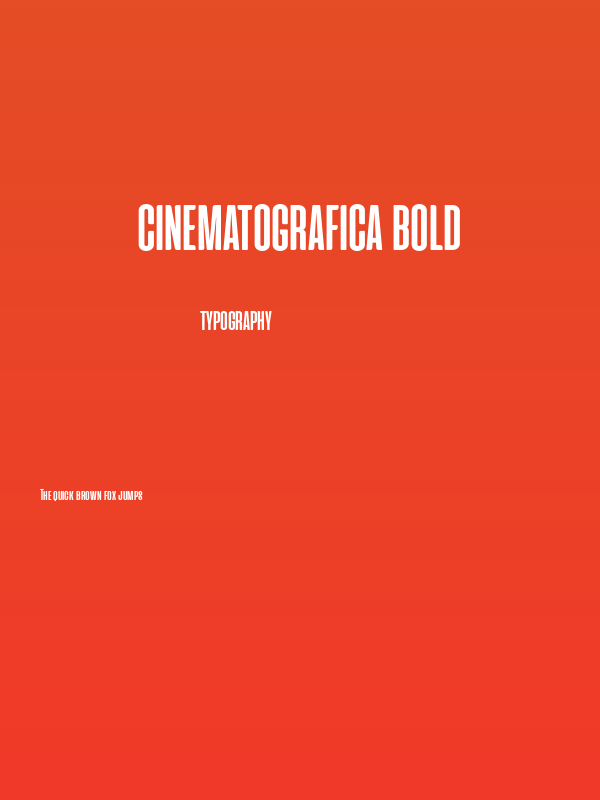 Cinematografica Bold Poster