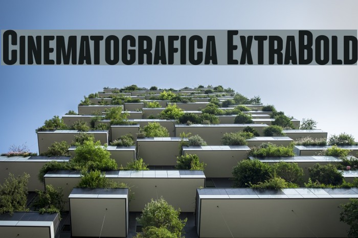 Cinematografica ExtraBold Example 1