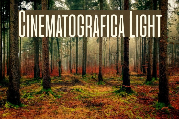 Cinematografica Light Example 3
