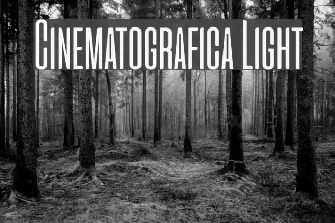 Cinematografica Light Font examples