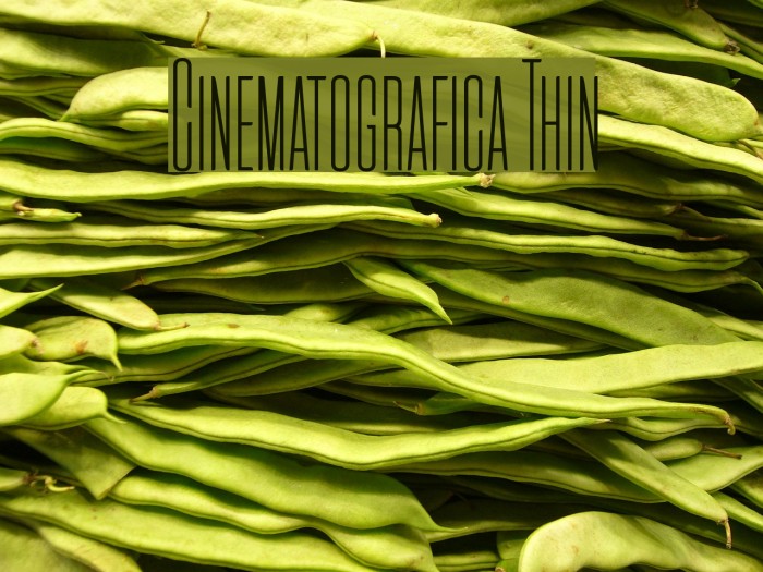 Cinematografica Thin Example 2