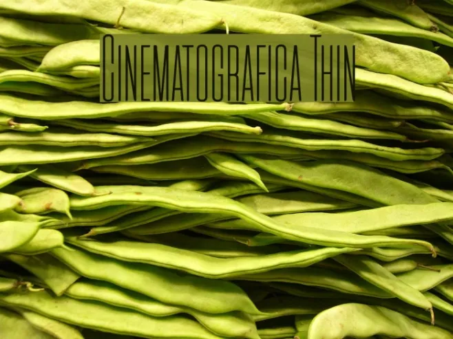 Cinematografica Thin Example 2