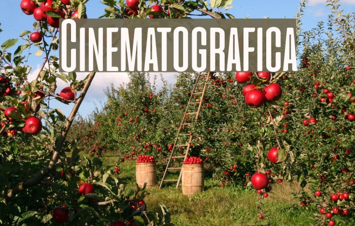 Cinematografica Example 1