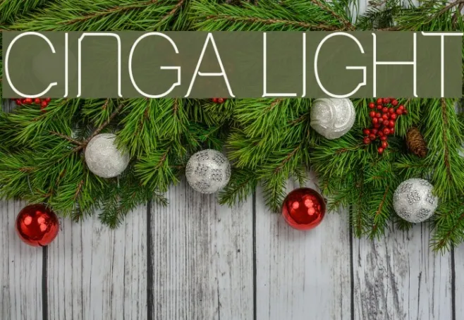 Cinga Light Example 1
