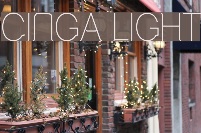Cinga Light Font examples