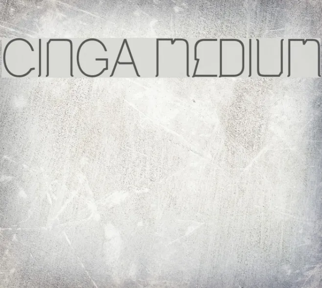 Cinga Medium Example 2