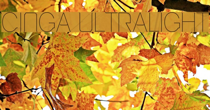 Cinga UltraLight Font examples