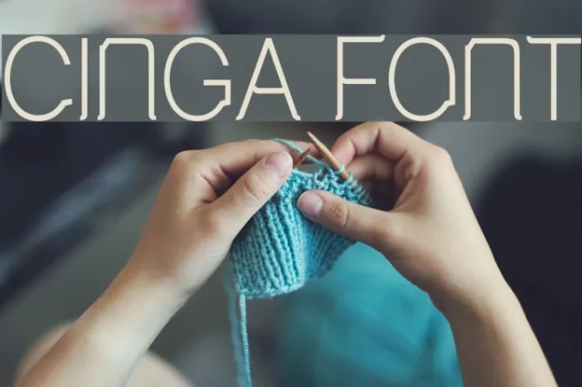 Cinga Example 1