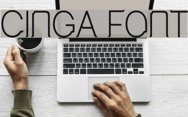 Cinga Example 2