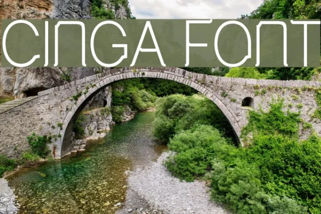 Cinga Example 3