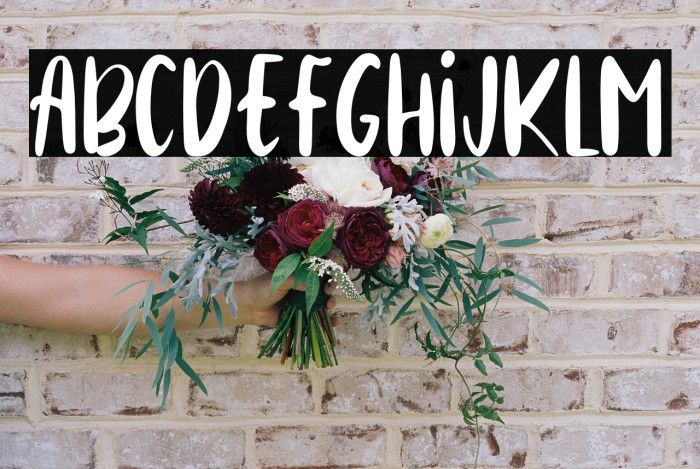 Cinnamon Cookie Example 3