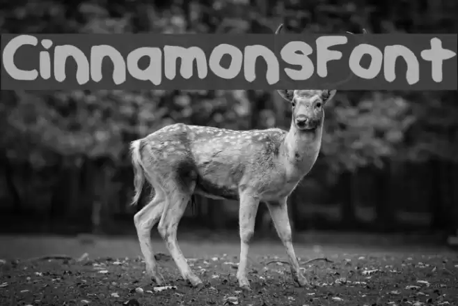 CinnamonsFont Font examples