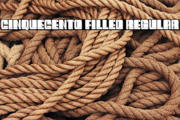 Cinquecento Filled Regular Example 3