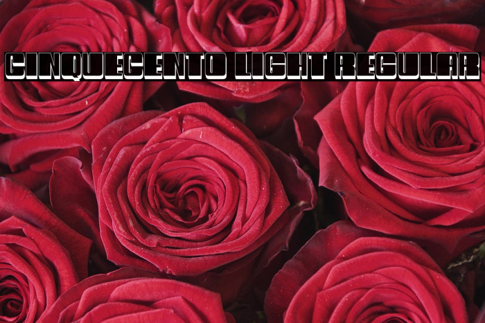 Cinquecento Light Regular Example 2
