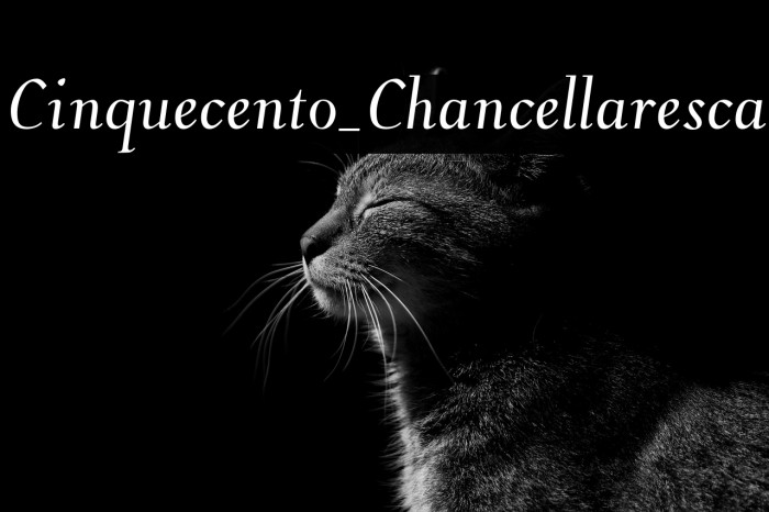 Cinquecento_Chancellaresca Example 2