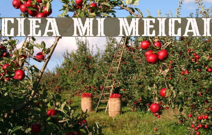 Cinquenta Mil Meticais Font examples
