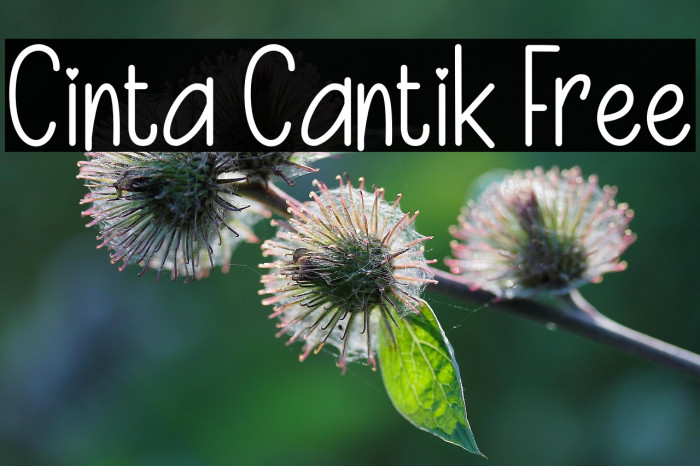 Cinta Cantik Free Example 2