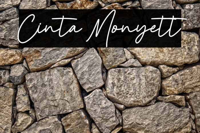 Cinta Monyett Example 1