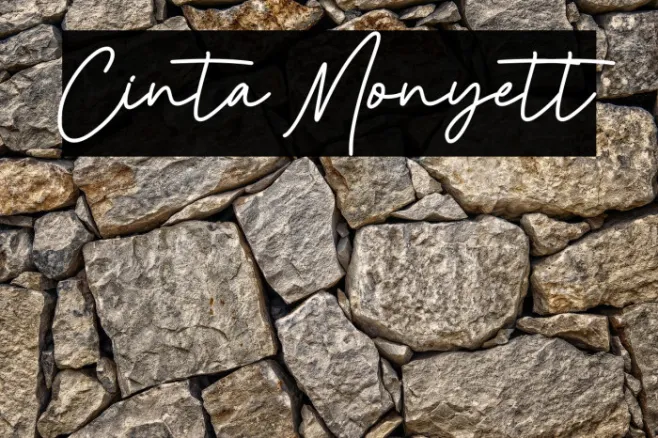 Cinta Monyett Example 1