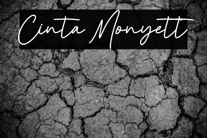 Cinta Monyett Example 2