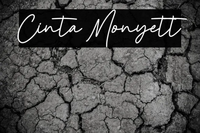 Cinta Monyett Example 2