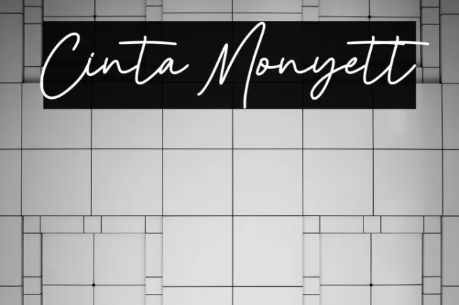 Cinta Monyett Example 3